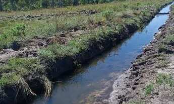 Imagem 3: Área de 2 ha rica em água, pertinho de CG