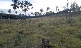 Imagem 2: CHACARA DE 5.000 M2 IGARAPÉ PRÓXIMO A SADA