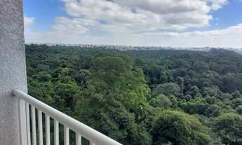 Imagem 6: Apartamento para aluguel possui 60 metros quadrados com 2 quartos em Campanário - Diadema