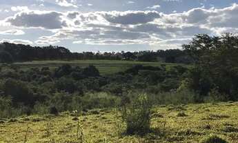 Imagem 3: Área em Terezópolis GO