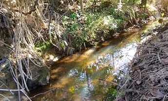 Imagem: CHACARA 5 MIL M² em Aracruz