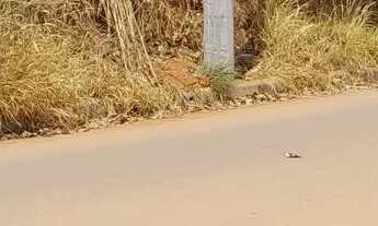 Imagem 3: Lotes no bairro jardim serra azul em mateus leme