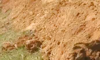 Imagem 3: Loteamento no jardim caranã