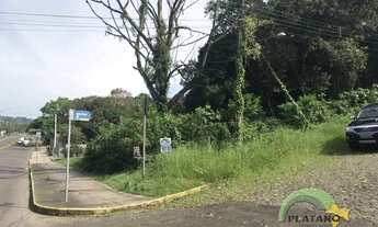 Imagem 5: Imóvel no Cidade Nova, Ivoti