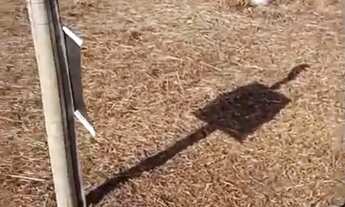 Imagem 6: Oportunidade Lote 12x30 Trevo do Francês!!!