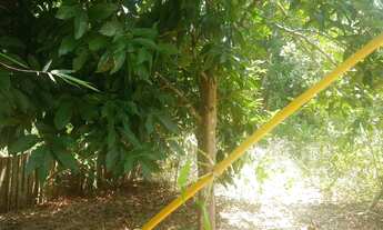 Imagem 4: Terreno Terreno / lote com venda por R$22.000