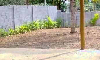 Imagem 4: Aluga-se Área Coberta em Terreno Amplo, em Local Tranquilo