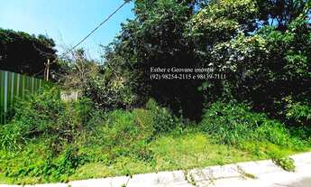 Imagem 2: Lote Terreno Condomínio Vivenda das Marinas 1ª Etapa Ponta Negra 250m² Manaus-AM Financia