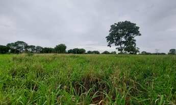 Imagem 5: TERRENO RURAL 50.000M2