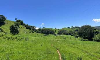 Imagem 7: Fazenda 63 alqueire