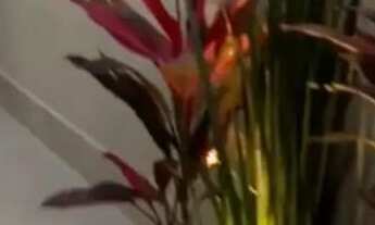 Imagem 4: Alto Padrão Jardim Palmeiras/Financia,!!!