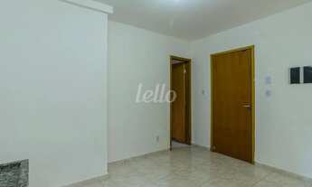 Imagem 3: Apartamento 1 quartos para alugar no(a) Brás