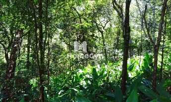 Imagem 6: Fazenda à venda em Niquelândia com 50 alqueires em Goiás