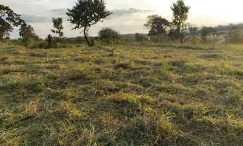 Imagem 7: Vendo chácara de mil metros