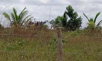 Imagem: Terreno em Serrinha-Ba