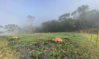 Imagem 2: Lote à Venda  Bairro Papa Milho, 1.040 m²