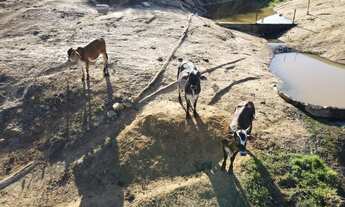 Imagem 4: Chácara 3,5 alqueires