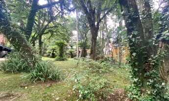 Imagem 5: Area - Bairro Vila Luiza