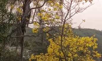 Imagem: Chácara em Paraibuna