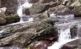 Imagem 5: Área 28.365m2 com cachoeiras em Vargem Grande Florianópolis