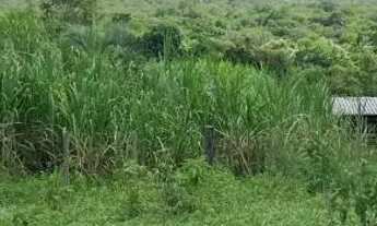 Imagem 3: Terreno com água e energia,5 hectares,28 km Major Prates!!Permuta por casa!!