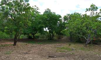 Imagem 7: SÍTIO NA ZONA SUL