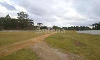 Imagem 7: Área para alugar por R$ 6000.00, 5000.00 m2 - IPE - SAO JOSE DOS PINHAIS/PR