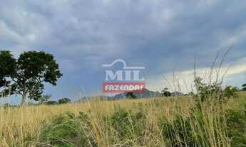 Imagem 5: Fazenda 154 alqueires (745,36 hectares) Colinas Do Sul - Go