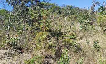 Imagem: Oportunidade Lote Comercial no Solar da