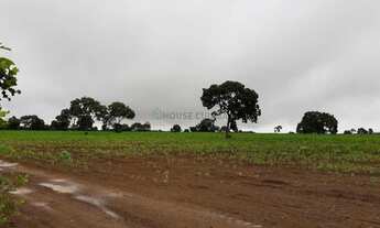 Imagem 4: VENDO FAZENDA 1.226 HECTARES MUNICIPIO DE JANGANDA MT