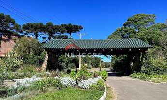 Imagem 2: Lote em Avenida Ximangos - Colinas - São Francisco de Paula/RS