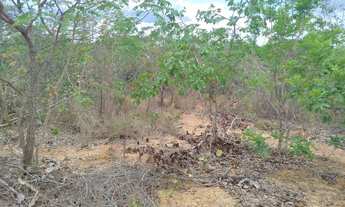 Imagem 5: Chácara 1000 m², excelente oportunidade