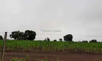 Imagem 5: VENDO FAZENDA 1.226 HECTARES MUNICIPIO DE JANGANDA MT
