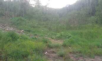 Imagem 7: Sítio marechal floriano 17 henquitares