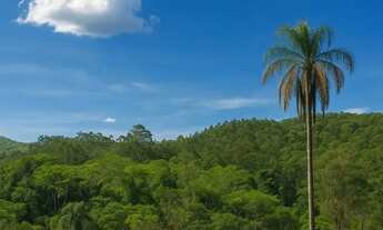 Imagem 2: Imóvel para venda com 600 metros quadrados em Terra Preta (Terra Preta) - Mairiporã - SP