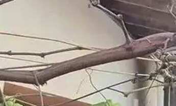 Imagem 6: Casa à venda no ILHA DE CAPRI , PLANALTO, Natal, RN