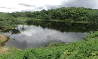 Imagem 3: Fazenda Quixeramobim - Vendo!