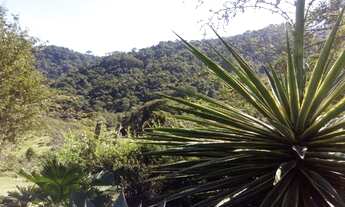 Imagem 7: Sitio / chácara em Engenheiro Passos 24.000M²