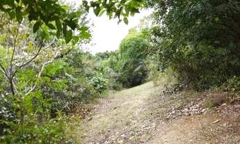 Imagem 2: VENDO: Área/Terreno com 66.378.48 m², documentação em ordem em Alphaville (Abrantes) - Cam