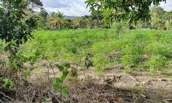 Imagem 7: TERRENO RESIDENCIAL em TRANCOSO - BA, 15 km de Arraial D'ajuda e a 23 km de Trancoso