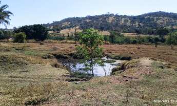 Imagem 2: Chácara Em Nerópolis vila Rica 20.000 m2 escritura