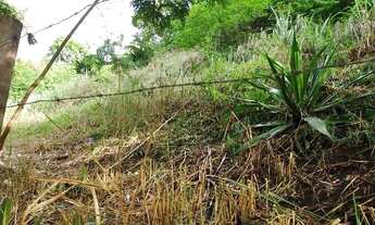 Imagem 4: Terreno à venda, 1350 m² por R$ 850.000 - Piratininga - Niterói/RJ - TE0847