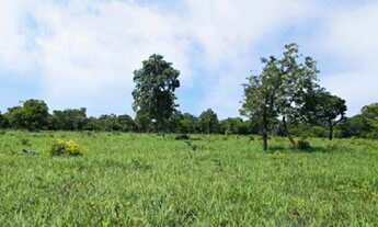 Imagem 4: Fazenda a venda a poucos km de Valença-BA