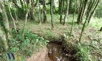 Imagem 5: Terreno Rural para Venda, Rodeio Chapada