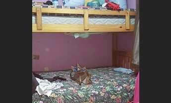 Imagem 3: Vende-se Casa com ponto Comercial em baixo na Pedreira