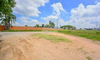 Imagem 3: Lote/Terreno para venda possui 360 metros quadrados em Boneca do Iguaçu - São José dos Pin