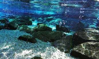 Imagem 6: Rio Quente e Hot Park