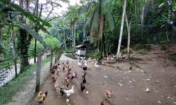 Imagem 7: Rural para Venda Sítio com 9,78 hectares a venda em Tres Riachos, Biguaçu. BIGUAÇU