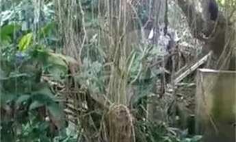 Imagem 7: AMPLO TERRENO SA SANTA TERESINHA