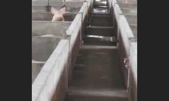 Imagem: Fazenda 3mil hectares no Rio Preto da Eva